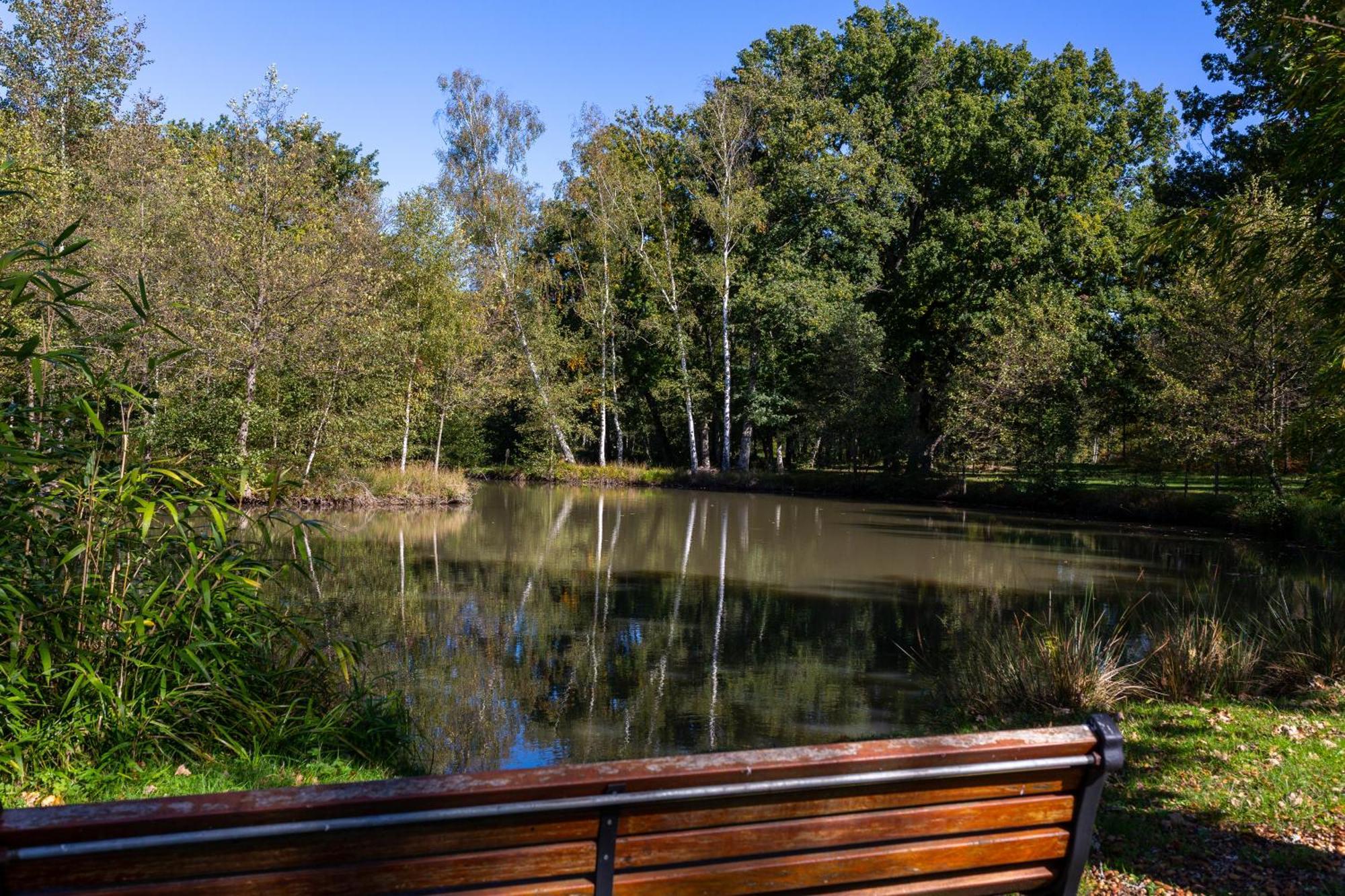 Hotel-Restaurant Domaine De La Grande Garenne Neuvy-sur-Barangeon Екстер'єр фото
