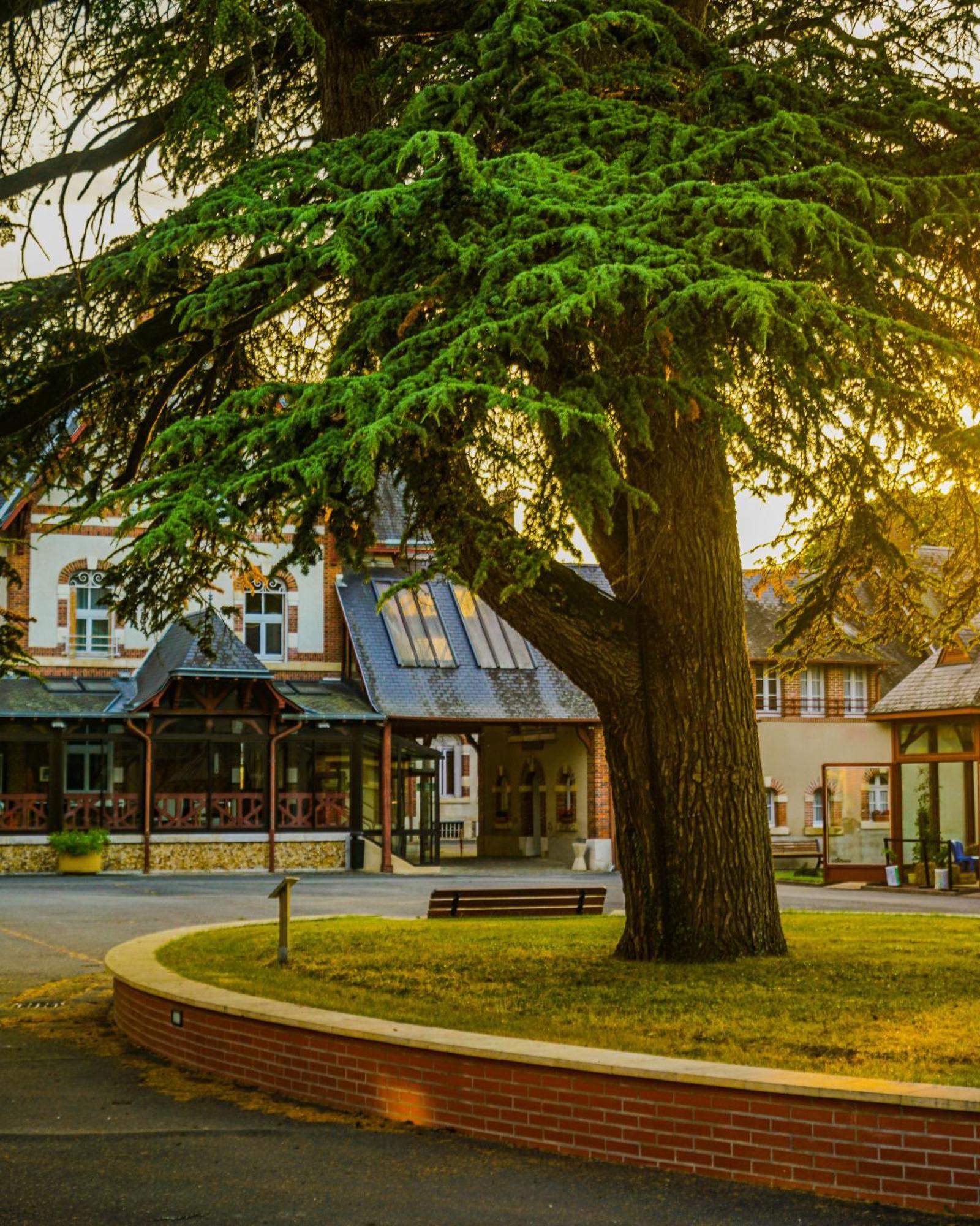 Hotel-Restaurant Domaine De La Grande Garenne Neuvy-sur-Barangeon Екстер'єр фото